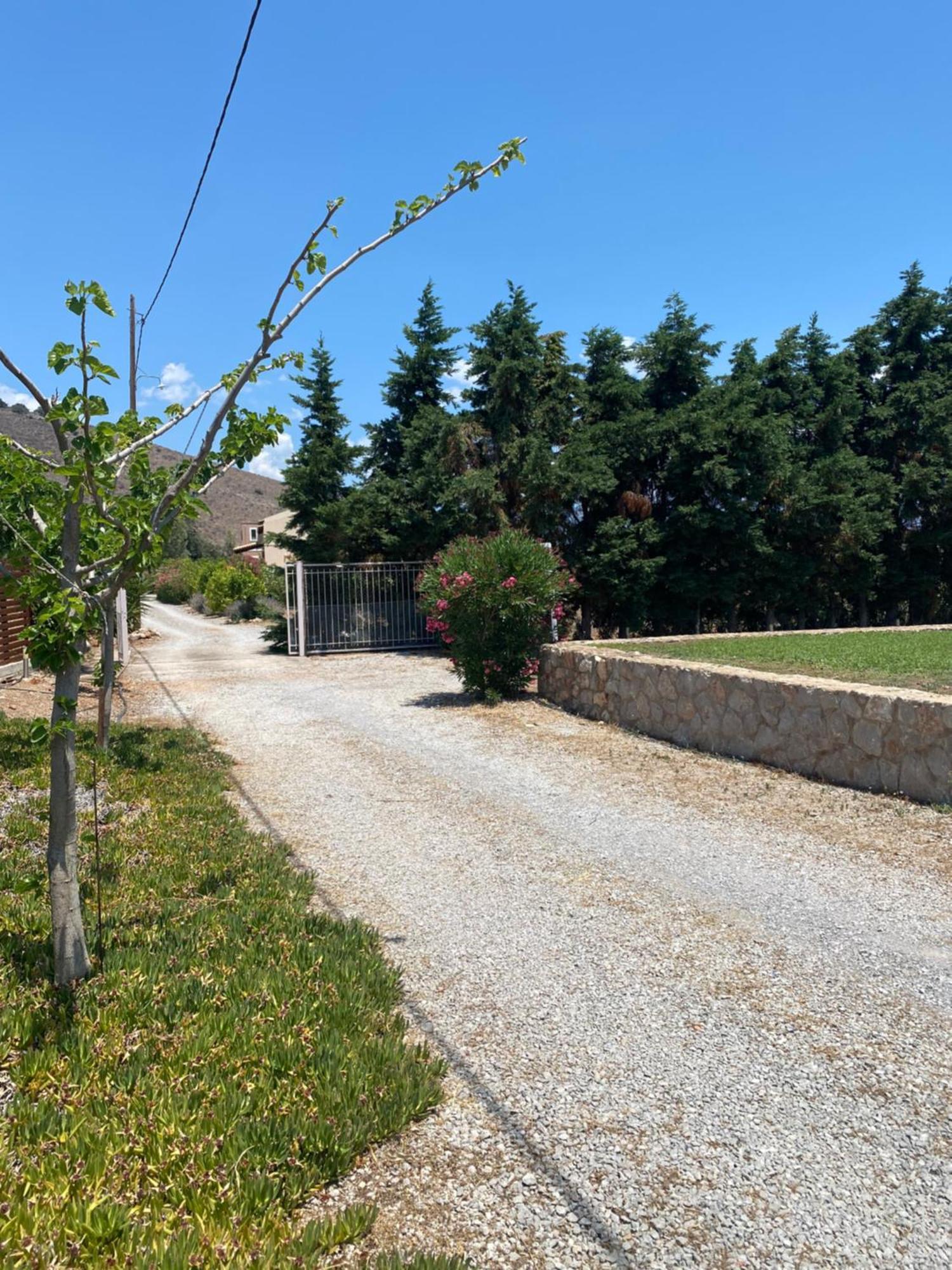 Georges Villa Galaxidi, Family, Pool And Garden Exterior foto
